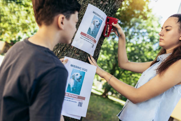 istock Children are looking for a missing dog, putting up posters. 1405365019