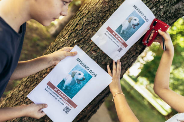 istock Children are looking for a missing dog, putting up posters. 1405365049