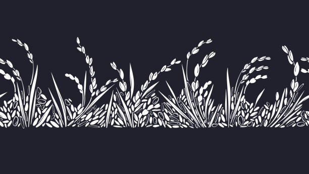 논. 그래픽 이음새가 없는 패턴 벡터 테두리 - rice paddy rice food short grain rice stock illustrations