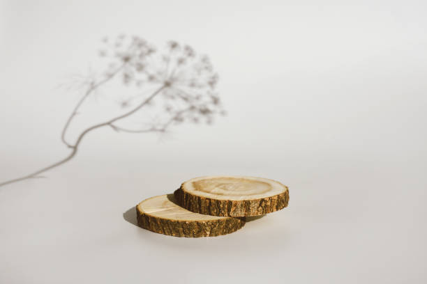 istock Empty round wooden podium for product presentation with plant shadows 1405373802