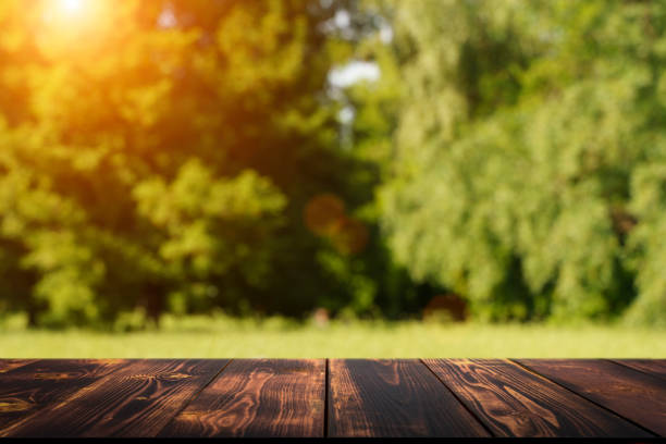istock Table wood background in forest. Background of a blurred green summer forest with sunlight 1405377380