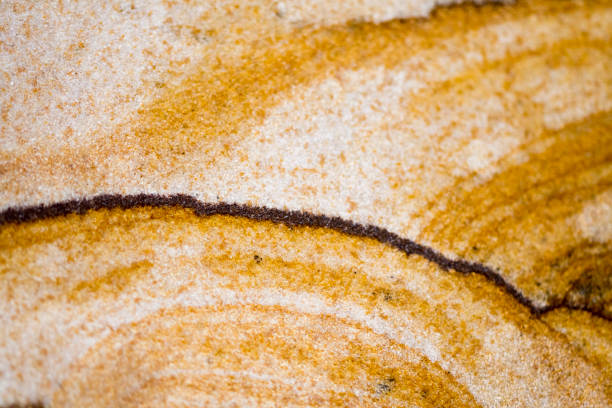 Macro detail of petrified sand dunes