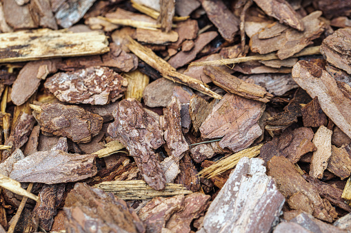 Close-up shot of natural wood chips and pieces of bark