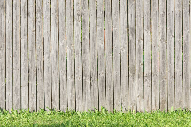 istock Grass by the fence. 1405381144