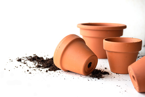 terracotta pots for gardening with white background and copy space