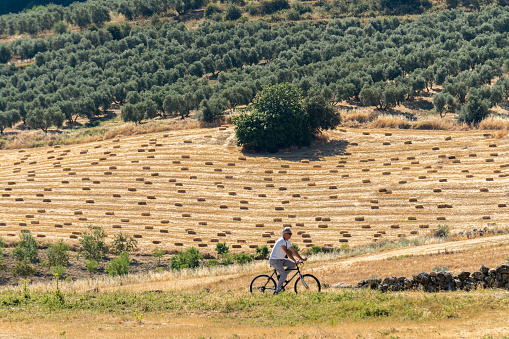 ronda ,malaga,españa, junio dia 26 de 2022 man on bicycle in the background of harvested wheat field