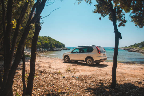 white suv car at summer sea beach