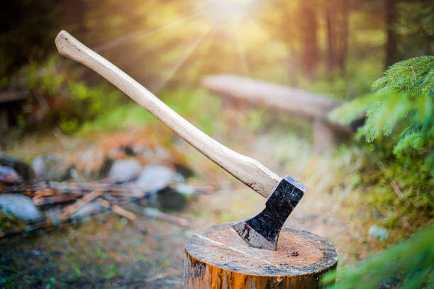 Axe cut in the chopping block, forest green background. Lumber jacks work tool stock photo