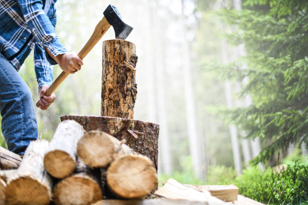 Man holding heavy ax. Axe in strong lumberjack hands chopping wood trunks stock photo