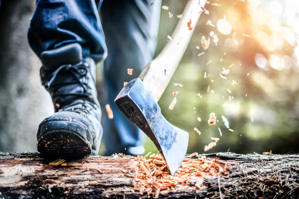 uomo che tiene pesante ascia. ascia in mani di boscaiolo forti che tagliano tronchi di legno - axe foto e immagini stock