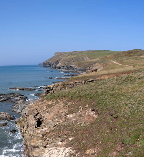 istock Rocky Coastline near Boscastle, Cornwall 1405392908