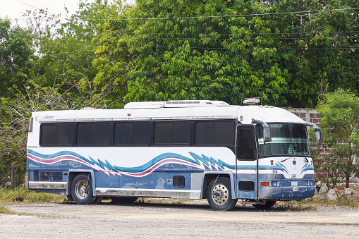 Villahermosa, Mexico - May 21, 2017: Intercity coach bus Dina Avante at an interurban road.