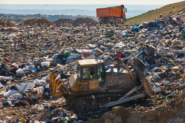 istock Heavy machinery shredding garbage in an open air landfill. Pollution 1405394504
