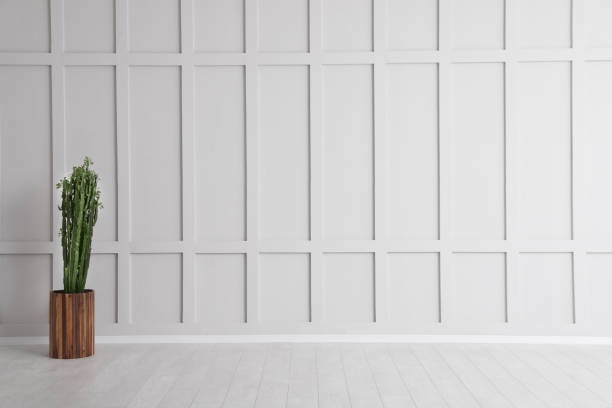 istock Plant near empty white wall indoors, space or text 1405394578