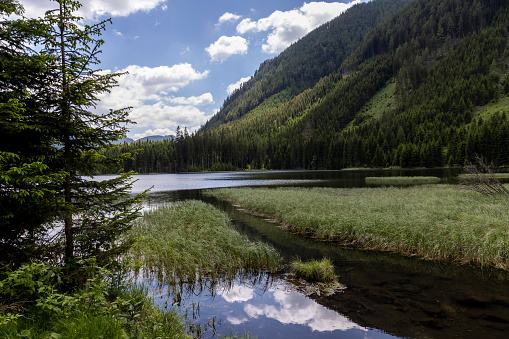 Beautiful scenery with marshland, pine trees and mountain range  in Yukon in late summer.