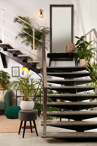 Stylish room interior with stairs and green plants