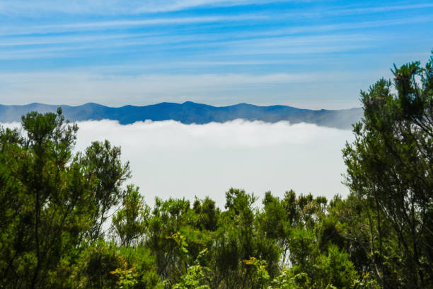istock Cumulus clouds over the mountains 1405396179