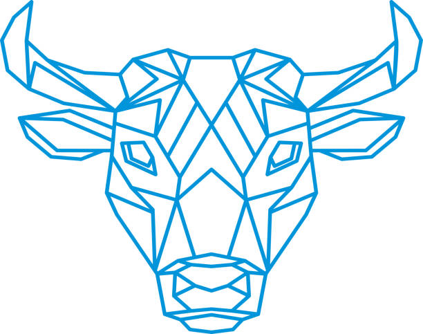 bull polygon, geometric contour Vector for cutting by plotter bull polygon, geometric contour Vector for cutting by plotter ayrshire cattle stock illustrations