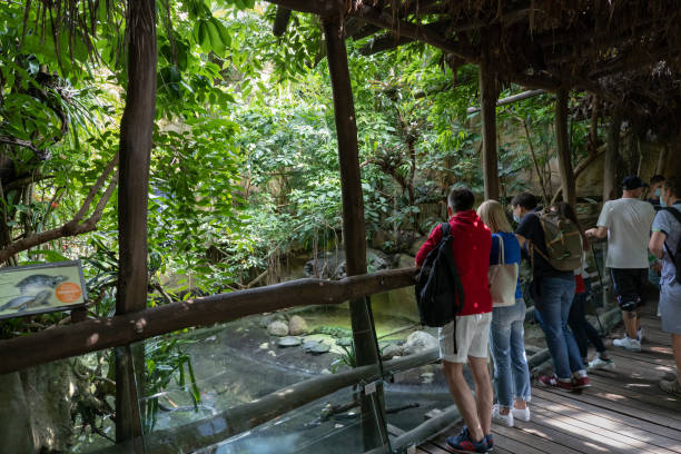 Berlin, Germany - August 3, 2021: People, tourists watching turtles in Aquarium of Berlin Zoological Garden (German: Zoologischer Garten Berlin).