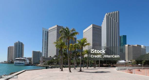 Miami Skyline With Blue Sky Background Stock Photo - Download Image Now - Miami, Apartment, Bank - Financial Building