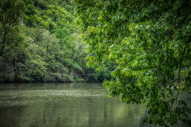 Beautiful nature on the banks of Western Morava river in Serbia