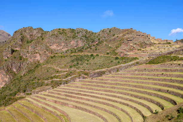 istock Nice view of the Pisac ruins in Cusco. 1405398701