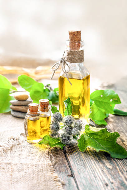 istock Burdock oil - Source of useful substances and minerals 1405401002
