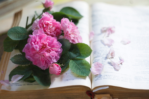 An old book with a bouquet of ancient roses , summer reading concept, selective focus