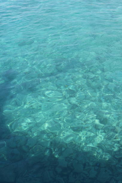 istock Colorful Fresh Sea and Nature in Bodrum 1405404098