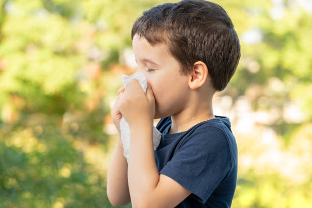 Allergic child sneezing covering nose Allergic child sneezing covering nose with wipe in a park in spring or summer season sneezeweed stock pictures, royalty-free photos & images