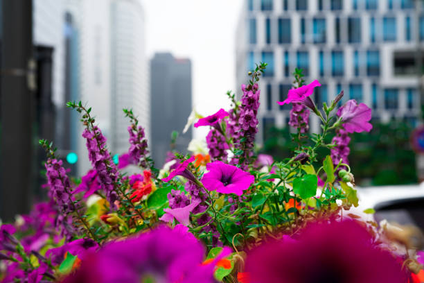 istock Myeong-dong Flower Cityscape 1405407456