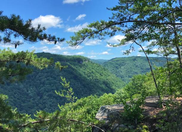 istock New River Gorge National Park overview 1405408829