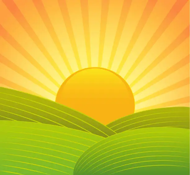 Vector illustration of Couché de soleil