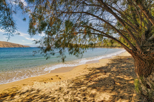 istock Livadakia beach in Serifos island, Greece 1405413646