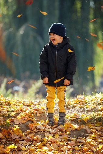 Happy kid having fun in autumn forest or park on fall day. Simple happiness. Sweet childhood memories. Toddler boy enjoy autumn and yellow leaves. Happy childhood.