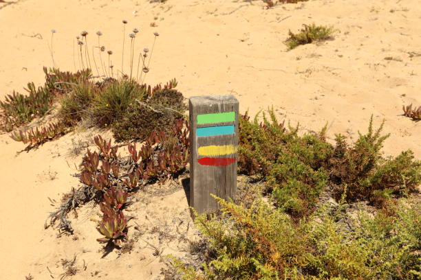 istock Colour sign painted on wood on sandy beach 1405414166