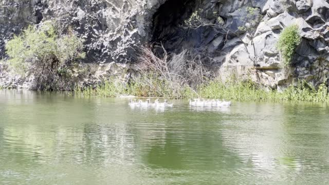 A video of the Adala Canyon with ducks swimming, Kula, Salihli, Turkey