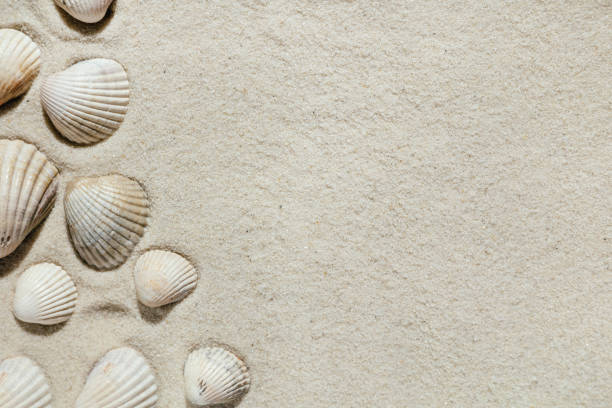 istock Background of light beach sand with space for text. 1405418811