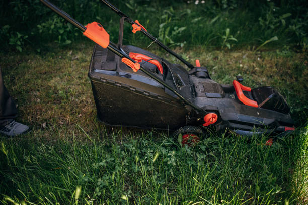 istock Lawn mower cutting green grass in backyard, garden service 1405420786