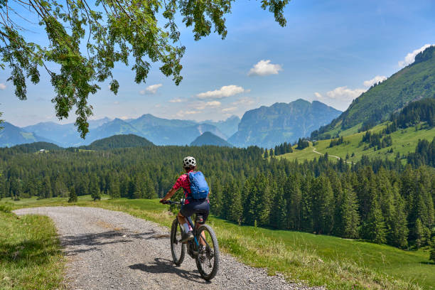 aktywna kobieta na elektrycznym rowerze górskim w lesie bregenz, austria - bregenzwald zdjęcia i obrazy z banku zdjęć