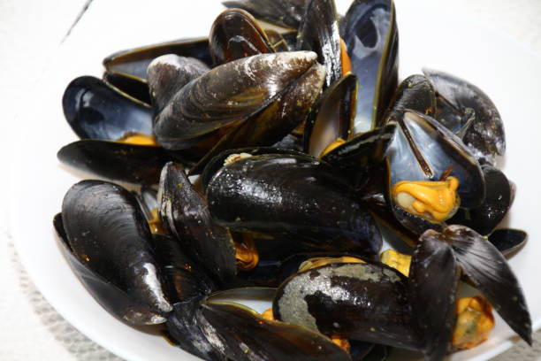 istock closeup of mussels on a white plate 1405421196
