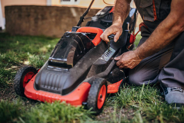 istock Senior man setting electric lawnmower for tall grass 1405421872