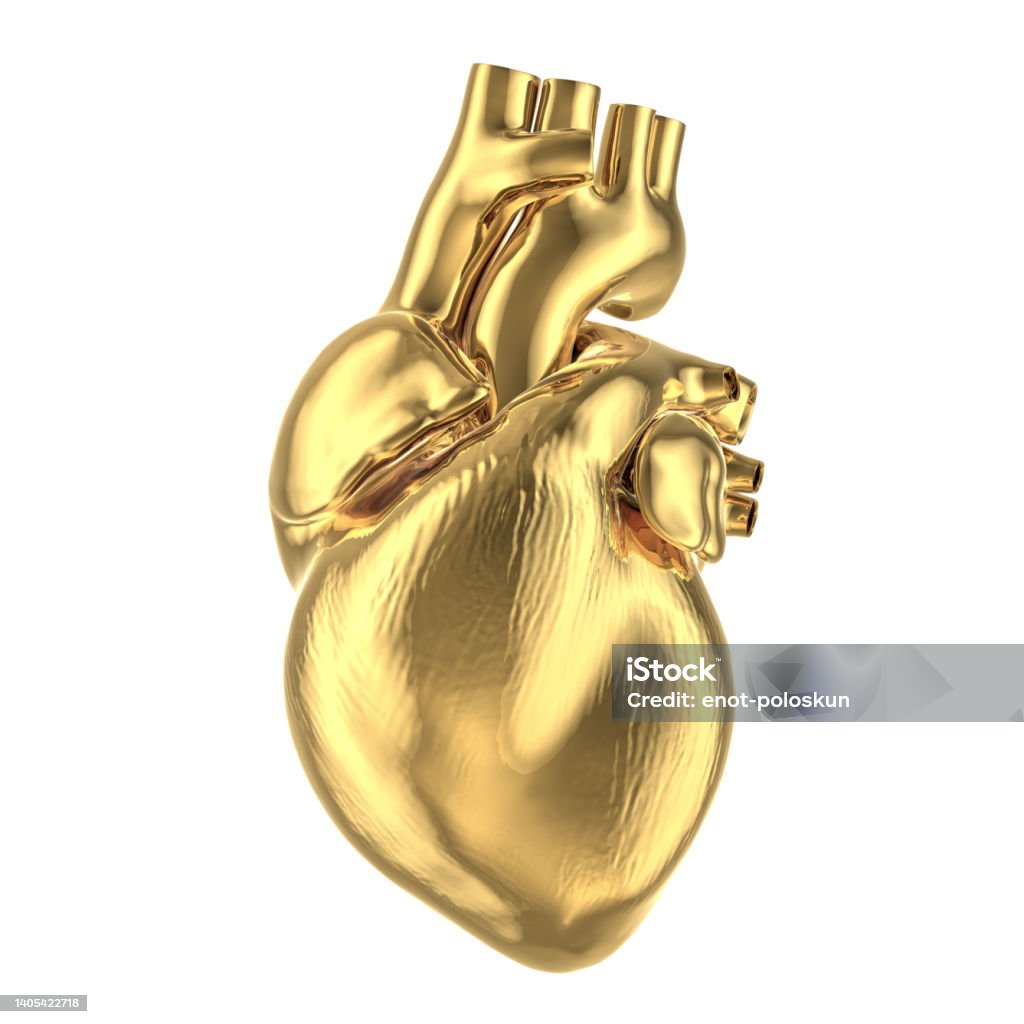 3D Human heart 3D Human heart isolated on white Heart - Internal Organ Stock Photo