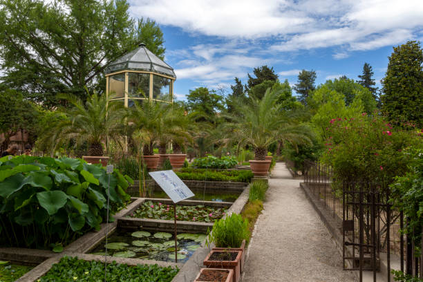 University of Padua Botanical Garden in Padua on a summer day stock photo