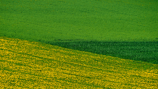 Agricultural landscape. Geometric background