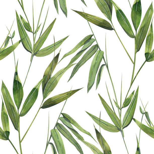 istock Bamboo leaves and twigs on a white background. Watercolor illustration. Seamless pattern. For fabric, textiles, wallpaper, covers, prints, packaging, paper, scrapbooking, clothing, bed linen. 1405438514