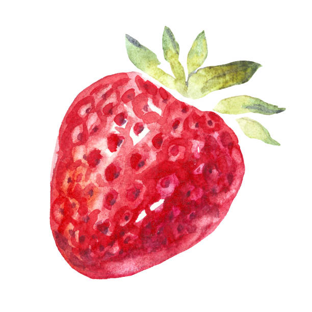 istock Watercolor strawberries set.  Hand-painted clipart. Isolated 1405439235
