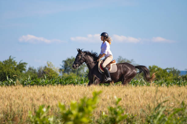istock Woman riding black horse 1405440644