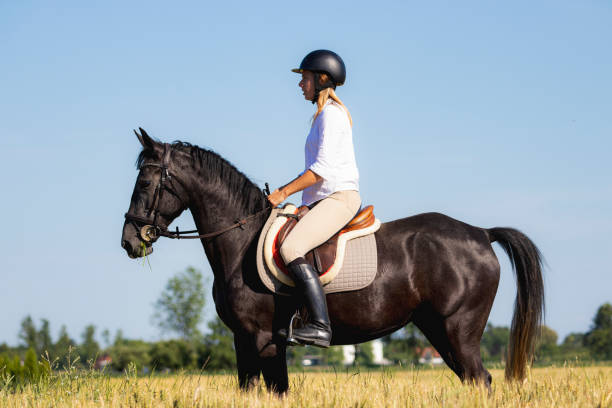 istock Woman riding black horse 1405440667