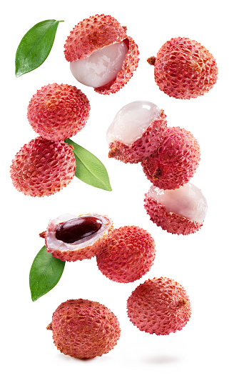 Lychee fruit on branch tree with green leaves isolated on white background.